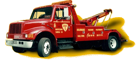 holownik International DT4600